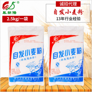 自發(fā)小麥粉